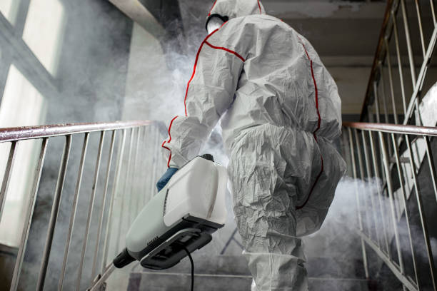 Reliable Syracuse, IN Mold Removal Solutions